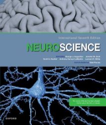 Neuroscience - Produkty Neuroscience