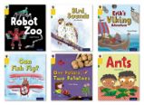 Oxford Reading Tree inFact: Oxford Level 5: Class Pack of 36