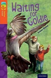 Oxford Reading Tree TreeTops Fiction 13 Waiting for Goldie Oxford Reading Tree TreeTops Fiction 13 Waiting for Goldie