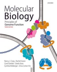 Molecular Biology - Nancy L Craig - Produkty Molecular Biology