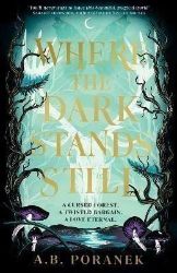 Where the Dark Stands Still - Young Adult romantasy Where the Dark Stands Still