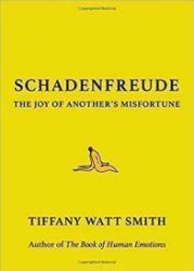 Schadenfreude : The Joy of Another´s Misfortune