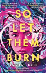 So Let Them Burn - Young Adult fantasy v angličtině So Let Them Burn