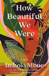 How Beautiful We Were : A Novel How Beautiful We Were : A Novel