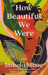 How Beautiful We Were : A Novel How Beautiful We Were : A Novel