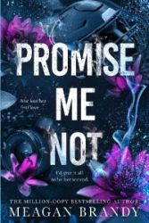 Promise Me Not - New Adult v angličtině Promise Me Not