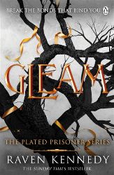 Gleam - Young Adult romantasy Gleam