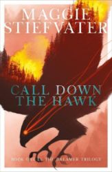 Call Down the Hawk (The Dreamer Trilogy #1) - Maggie Stiefvater - Young Adult fantasy v angličtině Call Down the Hawk (The Dreamer Trilogy #1)