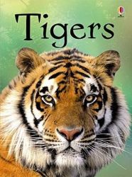 Beginners Tigers - Dětská cizojazyčná literatura Beginners Tigers
