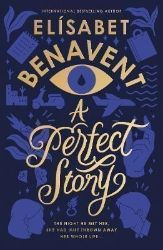 A Perfect Story - New Adult v angličtině A Perfect Story