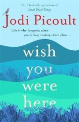 Wish You Were Here - Jodi Picoult - Romány pro ženy v angličtině Wish You were here