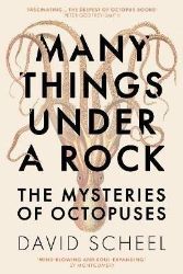 Many Things Under a Rock: The Mysteries of Octopuses