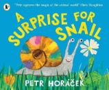 Surprise for Snail - Petr Horáček - Anglické knihy pro děti Surprise for Snail