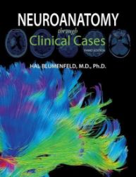 Neuroanatomy through Clinical Cases - Hal Blumenfeld - Produkty Neuroanatomy through Clinical Cases