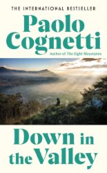 Down in the Valley - Paolo Cognetti - Romány v angličtině Down in the Valley