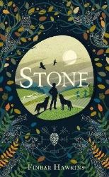 Stone - Finbar Hawkins - Anglická literatura Stone