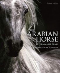 The Arabian Horse The Arabian Horse