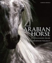 The Arabian Horse - Knihy o módě, umění a designu v angličtině Arabian Horse