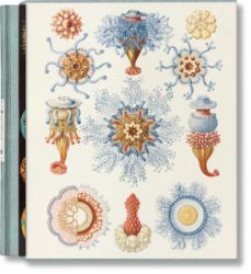 cl-Art and Science of Ernst Haeckel