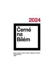 Černé na Bílém - Monika Immrová,Miroslav Velfl - Umění a architektura Černé na Bílém