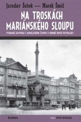 Na troskách mariánského sloupu - Vybrané kapitoly z katolického života v období první repu Na troskách mariánského sloupu - Vybrané kapitoly z katolického života v období první repu