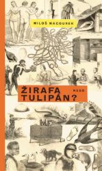 Žirafa nebo tulipán - Miloš Macourek - Výtvarné umění Žirafa nebo tulipán