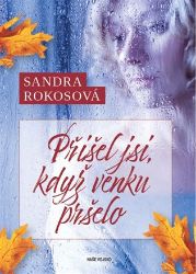 Přišel jsi, když venku pršelo - Sandra Rokosová - Romány Přišel jsi, když venku pršelo