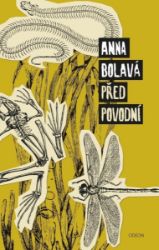 Před povodní - Anna Bolavá - Česká a slovenská beletrie Před povodní
