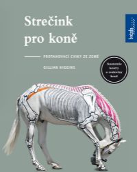 Strečink pro koně - Protahovací cviky ze země Strečink pro koně - Protahovací cviky ze země