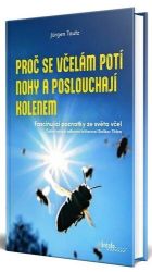 Proč se včelám potí nohy a poslouchají kolenem Proč se včelám potí nohy a poslouchají kolenem