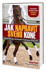 Jak napravit svého koně