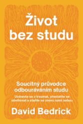 Život bez studu - Soucitný průvodce odbourávání studu - David Bedrick - Psychologie Život bez studu - Soucitný průvodce odbourávání studu