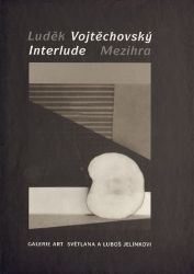 Mezihra - Luděk Vojtěchovský - Umění a architektura Mezihra