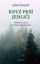 Když prší jehličí - Aleš Dostál - Česká a slovenská beletrie Když prší jehličí