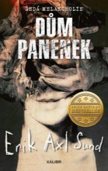 Dům panenek - Erik Axl Sund - Detektivky a napětí Dům panenek
