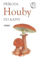 Houby - Hobby Houby