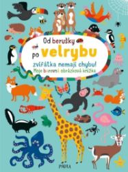 Od berušky po velrybu zvířátka nemají chybu! Moje barevná obrázková knížka - Nastja Holtfreterová - Dětské knížky poznávání zvířat Od berušky po velrybu zvířátka nemají chybu! Moje barevná obrázková knížka