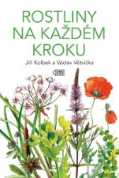 Rostliny na každém kroku - Václav Větvička,Jiří Kolbek - Stromy, keře, rostliny Rostliny na každém kroku