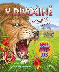 V divočině - David Hawcock - Encyklopedie zvířat pro děti V divočině