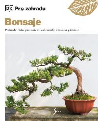 Bonsaje Bonsaje