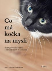 Co má kočka na mysli - Brigitte Rauth Widmann - Kočky Co má kočka na mysli