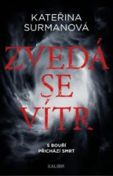Zvedá se vítr - Kateřina Surmanová - České a slovenské detektivky Zvedá se vítr