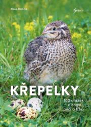 Křepelky - 100 otázek o plemenech, chovu, marketingu - Klaus Damme - Chovatelství Křepelky - 100 otázek o plemenech, chovu, marketingu