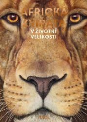 Africká zvířata: V životní velikosti Africká zvířata: V životní velikosti