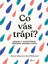 Co vás trápí? - Eleanor Haley,Litsa Williams - Psychologie Prozkoumejte svůj smutek