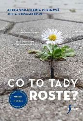 Co to tady roste? - Julia Krohmer,Alexandra-Maria Klein - Životní prostředí a ekologie Co to tady roste?