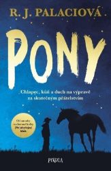 Pony Pony