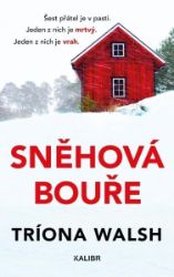 Sněhová bouře - Tríona Walsh - Thrillery Sněhová bouře
