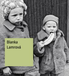 Blanka Lamrová - Štěpánka Bieleszová - Umění a architektura Blanka Lamrová