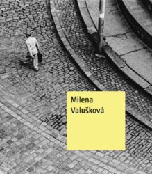 Milena Valušková - Štěpánka Bieleszová - Umění a architektura Milena Valušková